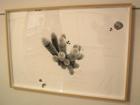 "Planetas aislados", Ana Soler. Serigrafía, estampa digital e intervenciones tridimensionales, 100 x 150 cm.